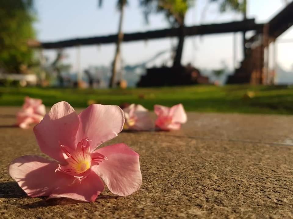 Ambadis Villas Kodungallur Luaran gambar